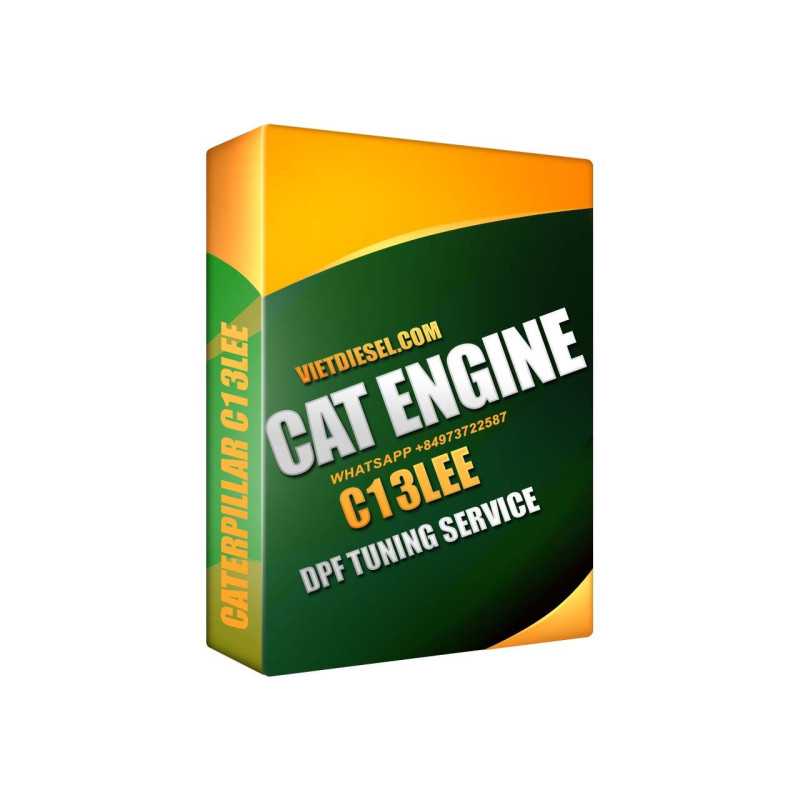 CATERPILLAR C13LEE DPF Delete Tuning Service by TeamViewer