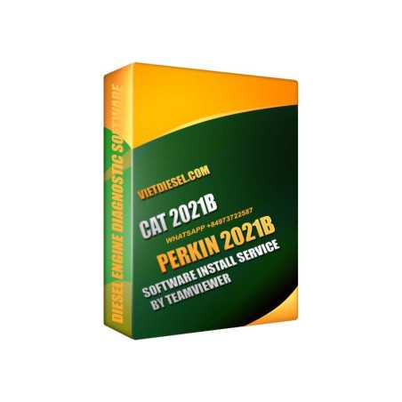 CAT + PERKIN 2021B Install Service by TeamViewer