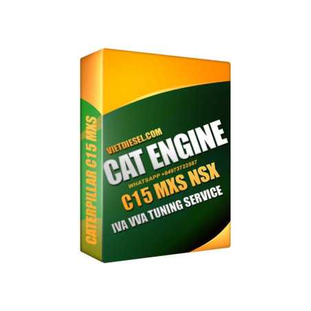 CAT C15MXS IVA Delete By TeamViewer