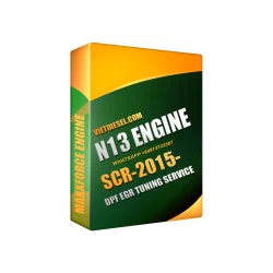 N13 DPF EGR Delete