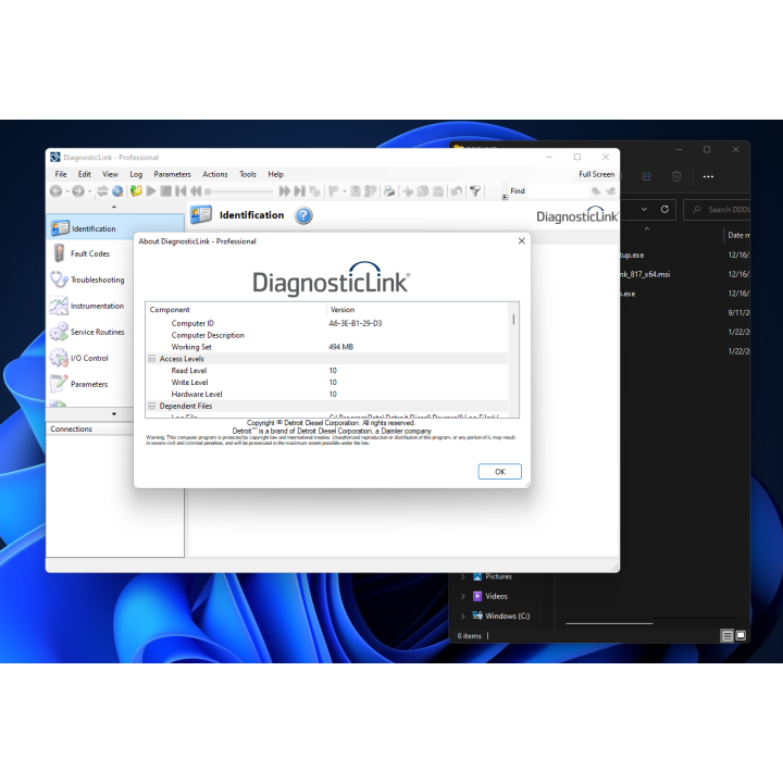 Detroit DDDL 8.17 diagnostic software installation service via TeamViewer