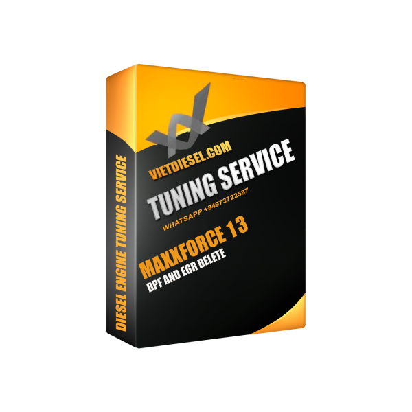 MAXXFORCE 13 DPF EGR Delete by TeamViewer