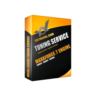 MAXXFORCE DT DPF EGR Delete by TeamViewer