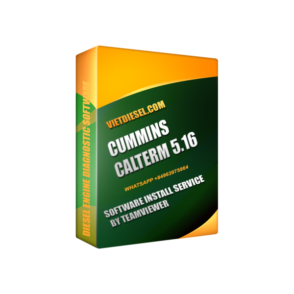 CALTERM 5.16 Install Service by TeamViewer